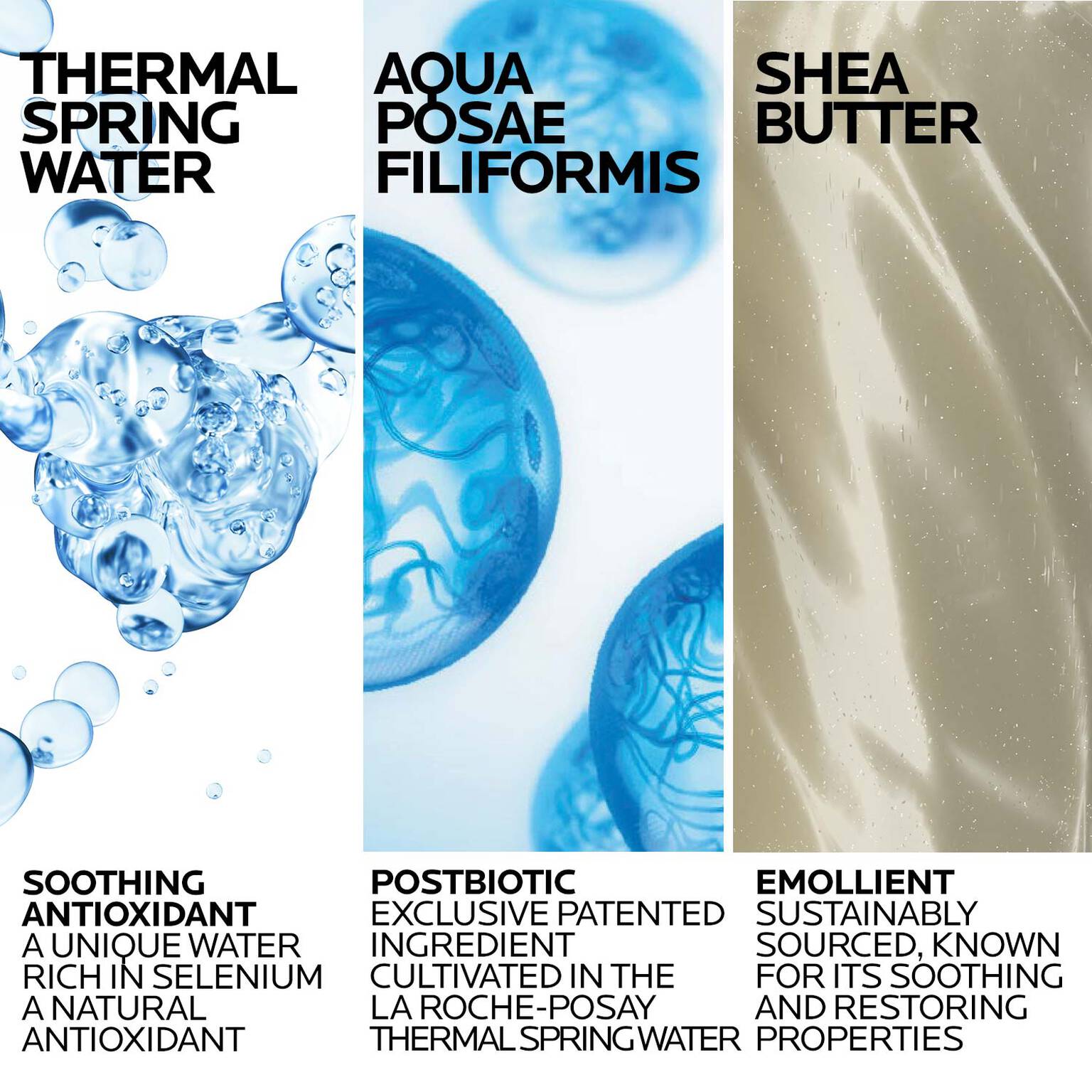 lipikar-wash-ap-moisturizing-body-and-face-wash-s5 Lipikar-Wash-ingredients_1500x1500-REV.jpg
